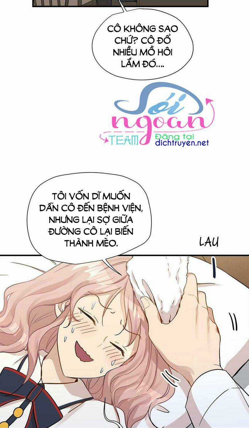 Cuộc Sống Kỳ Thú - Chapter 14 - Trang 15