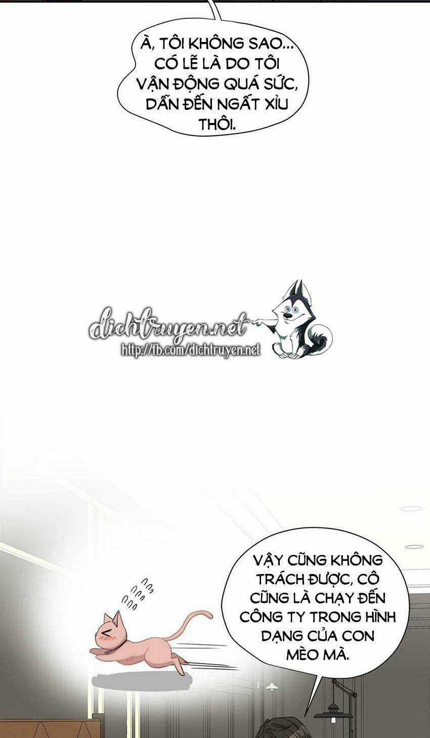 Cuộc Sống Kỳ Thú - Chapter 14 - Trang 16