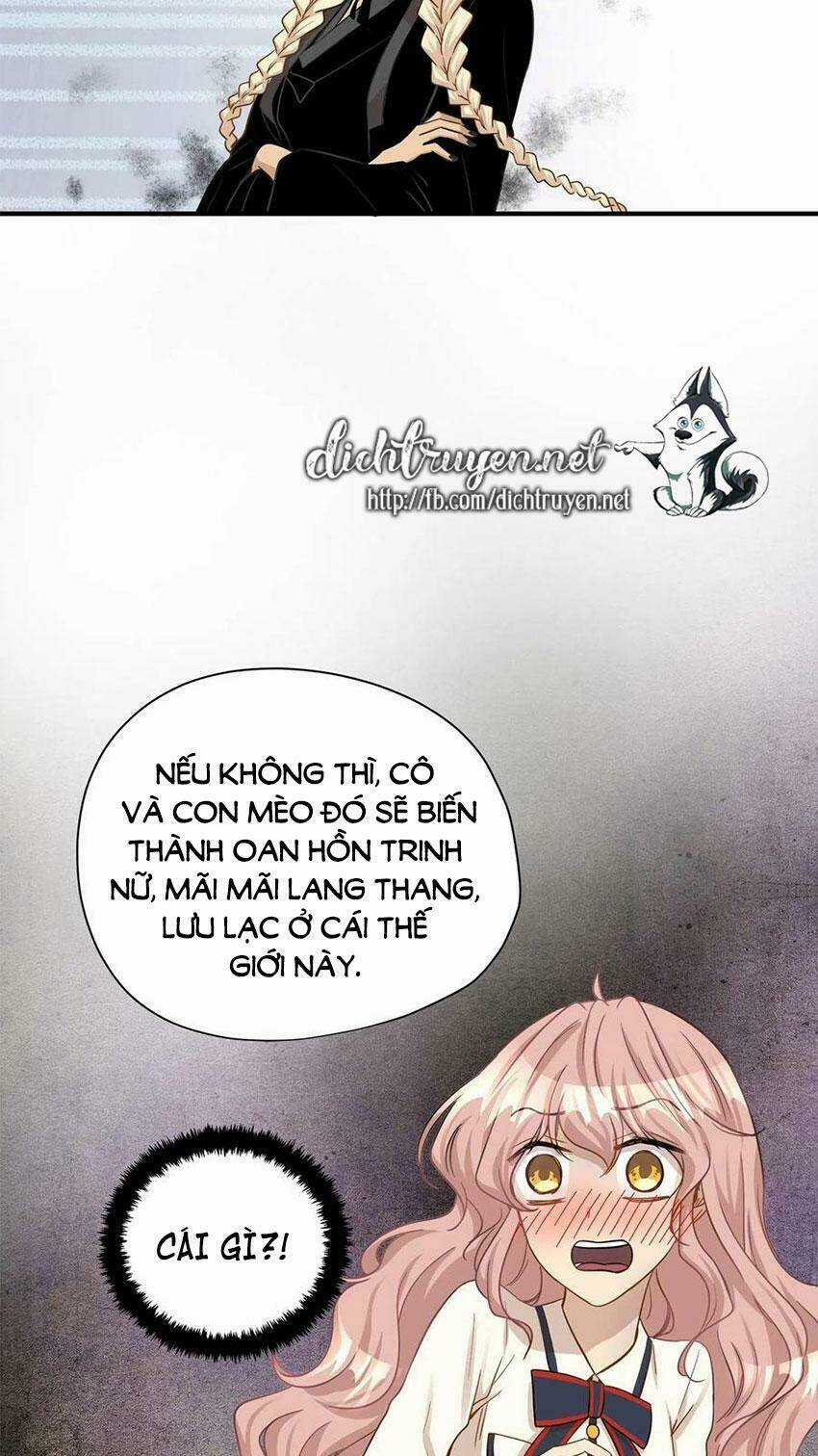 Cuộc Sống Kỳ Thú - Chapter 14 - Trang 23