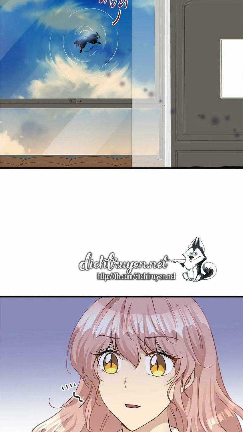Cuộc Sống Kỳ Thú - Chapter 14 - Trang 29