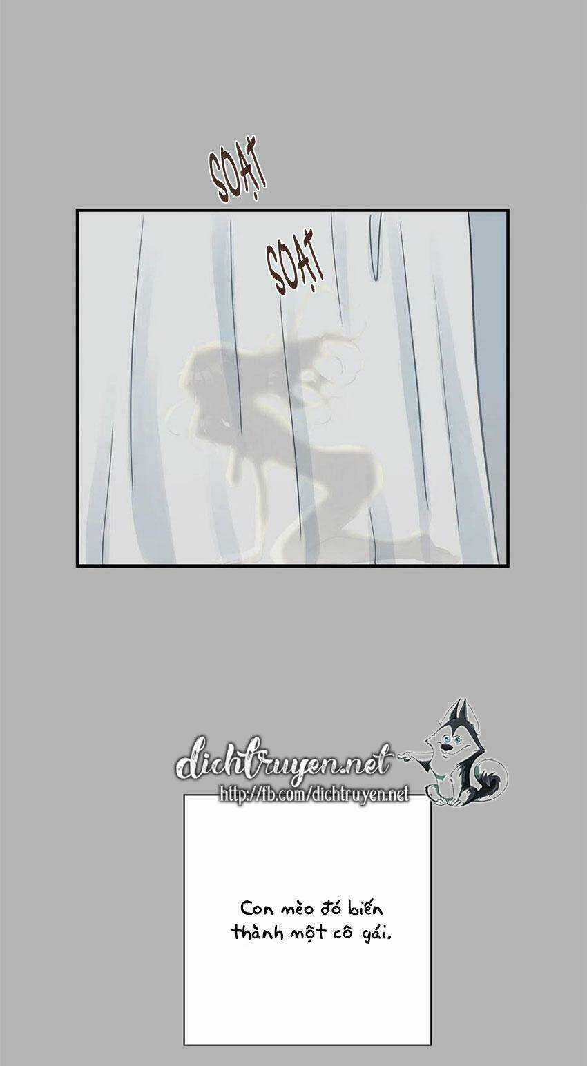 Cuộc Sống Kỳ Thú - Chapter 14 - Trang 43