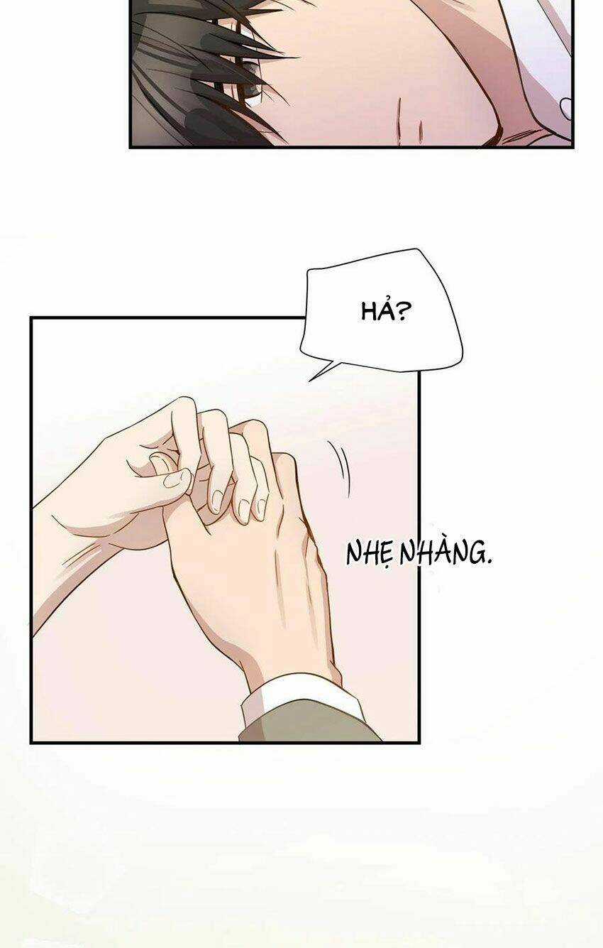 Cuộc Sống Kỳ Thú - Chapter 15 - Trang 33