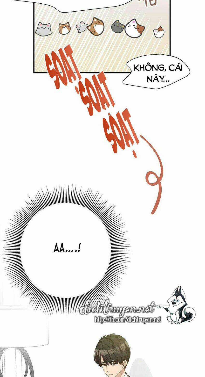 Cuộc Sống Kỳ Thú - Chapter 15 - Trang 37
