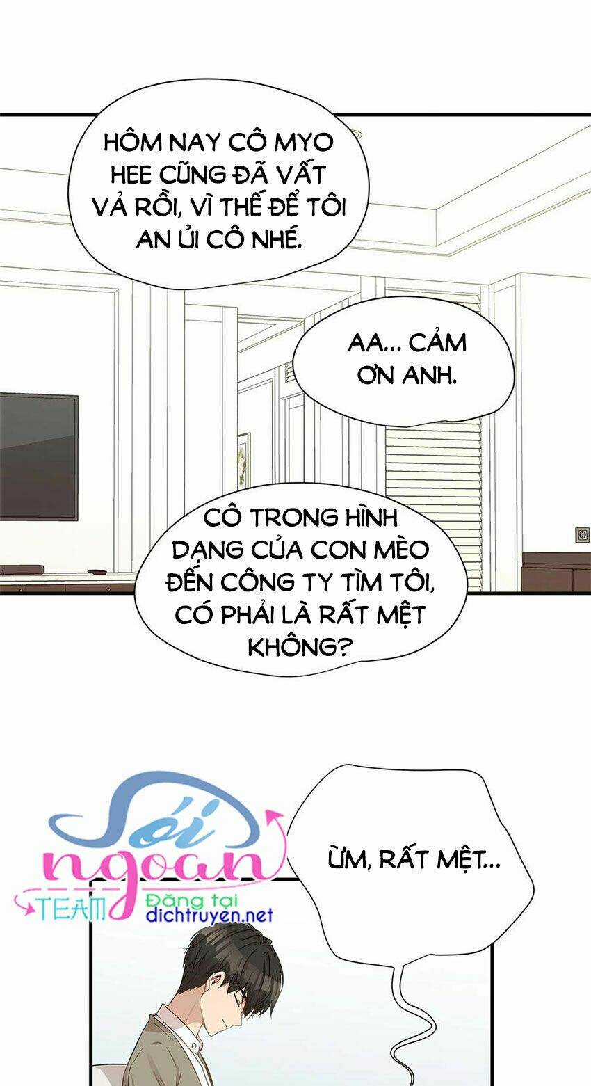 Cuộc Sống Kỳ Thú - Chapter 15 - Trang 40
