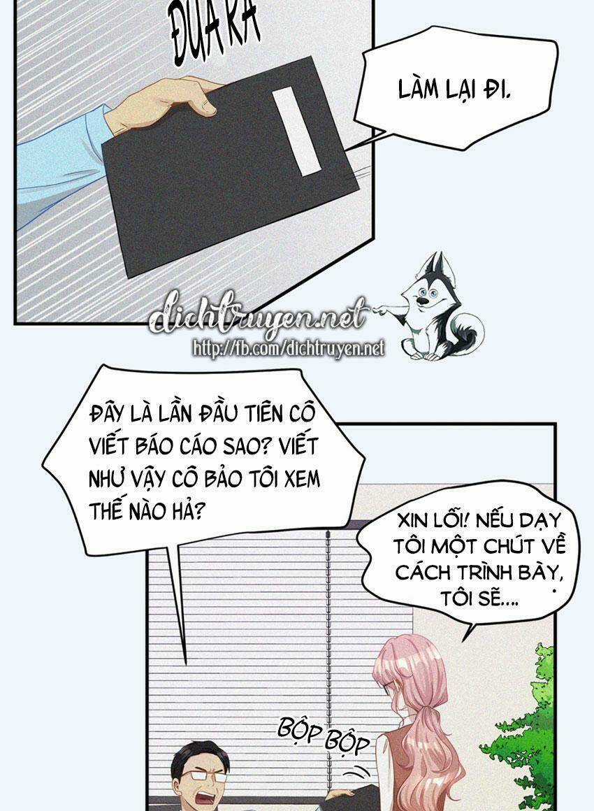 Cuộc Sống Kỳ Thú - Chapter 16 - Trang 4