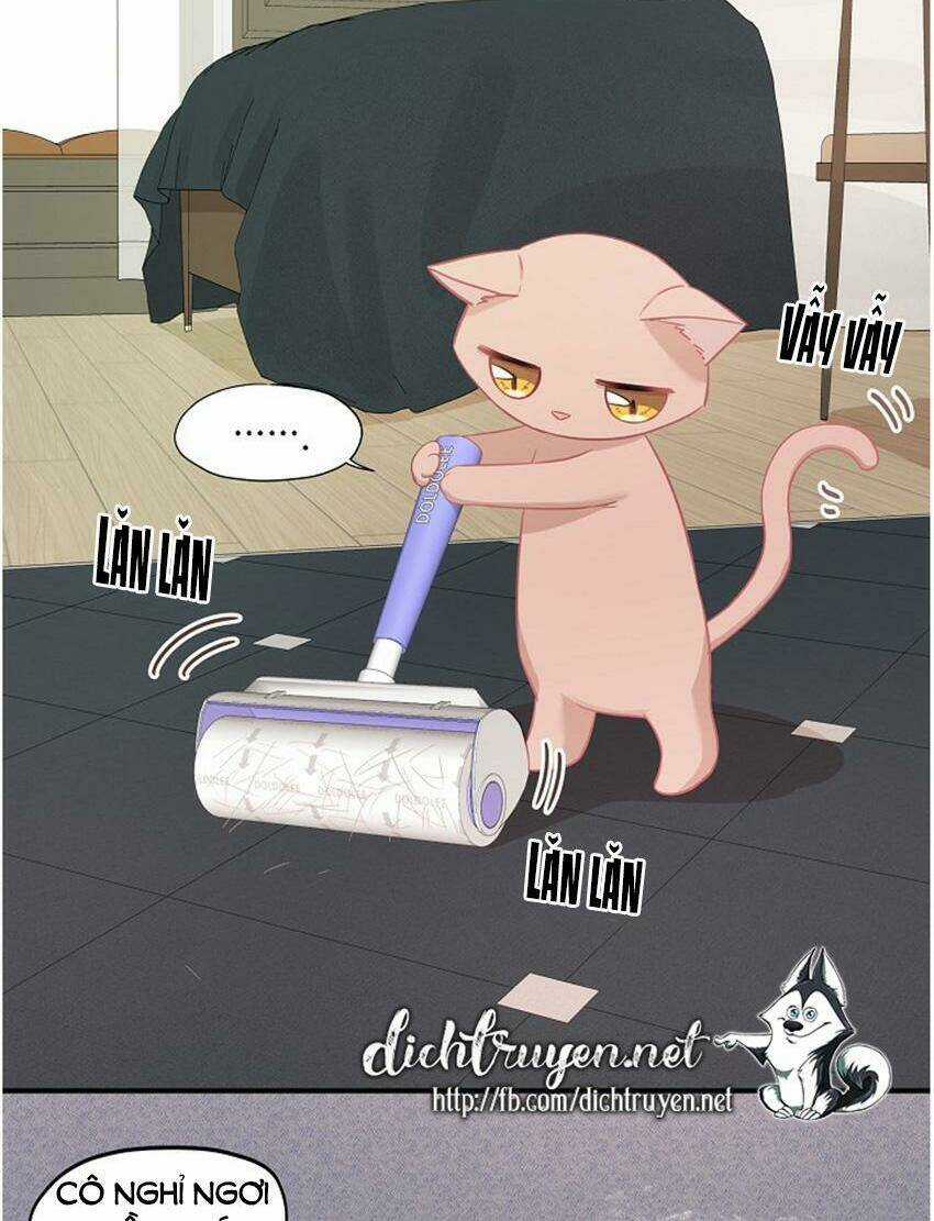 Cuộc Sống Kỳ Thú - Chapter 17 - Trang 2