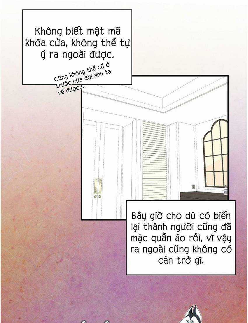 Cuộc Sống Kỳ Thú - Chapter 17 - Trang 11