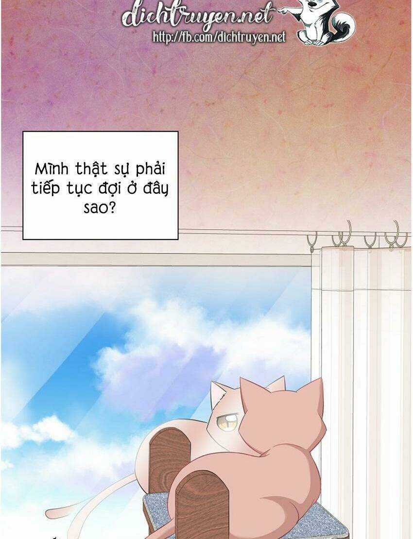 Cuộc Sống Kỳ Thú - Chapter 17 - Trang 12