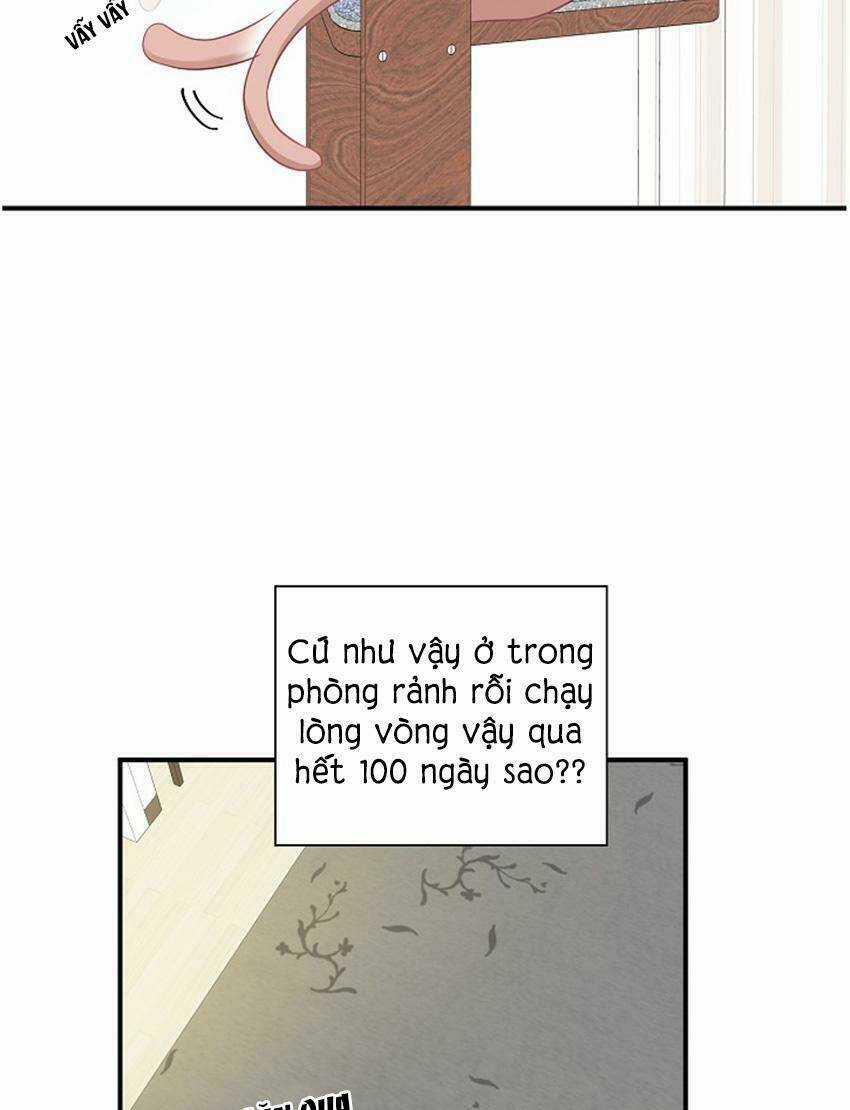 Cuộc Sống Kỳ Thú - Chapter 17 - Trang 13