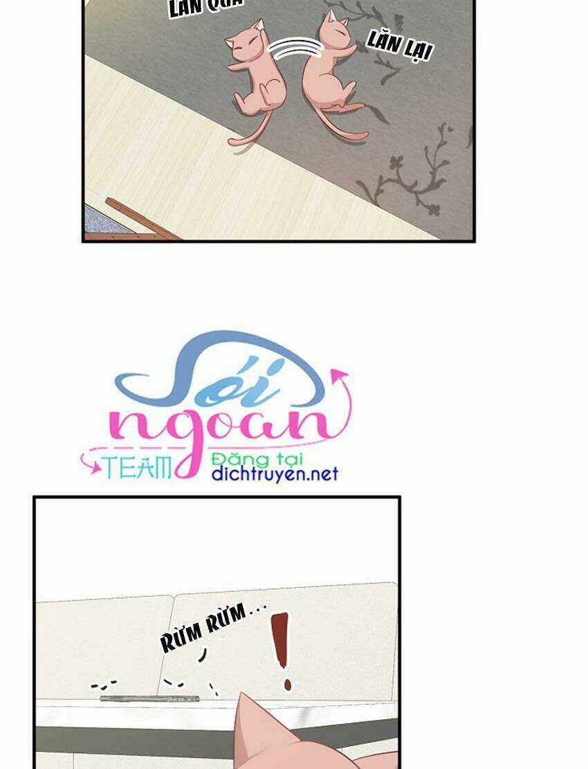 Cuộc Sống Kỳ Thú - Chapter 17 - Trang 14
