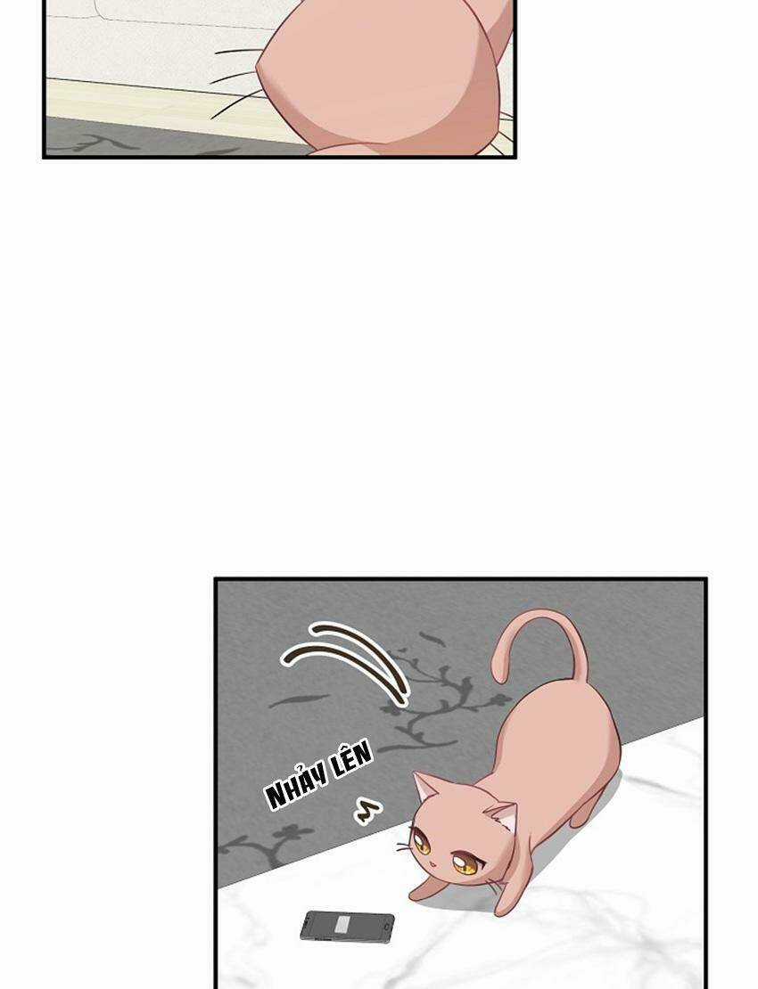 Cuộc Sống Kỳ Thú - Chapter 17 - Trang 15