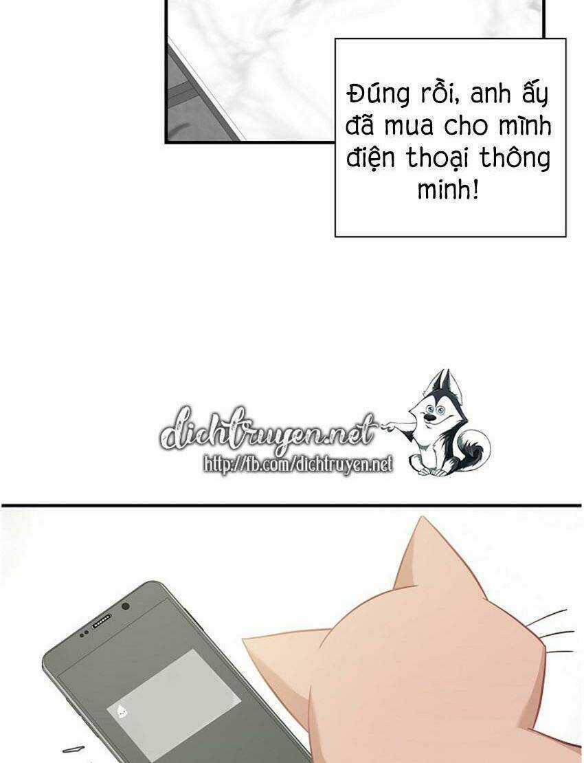 Cuộc Sống Kỳ Thú - Chapter 17 - Trang 16
