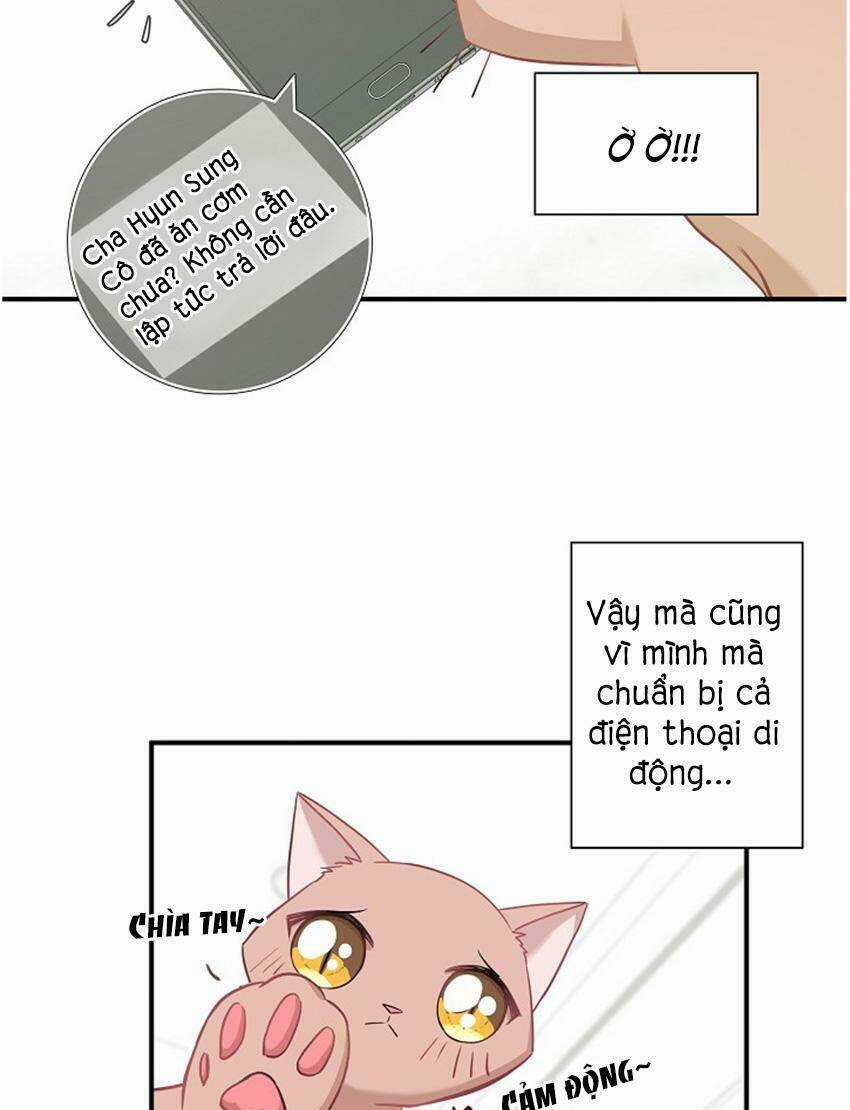 Cuộc Sống Kỳ Thú - Chapter 17 - Trang 17