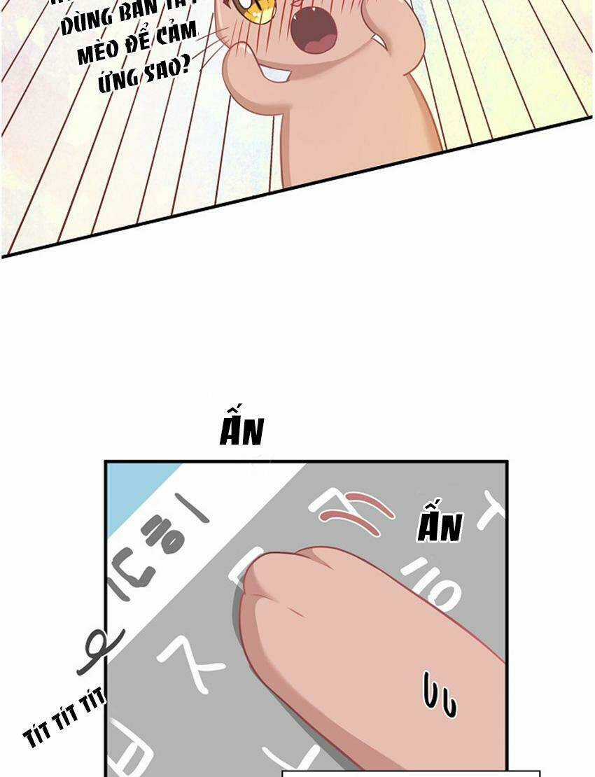 Cuộc Sống Kỳ Thú - Chapter 17 - Trang 21