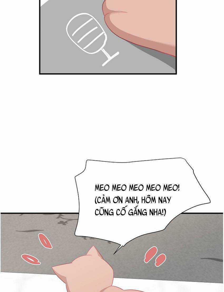 Cuộc Sống Kỳ Thú - Chapter 17 - Trang 23