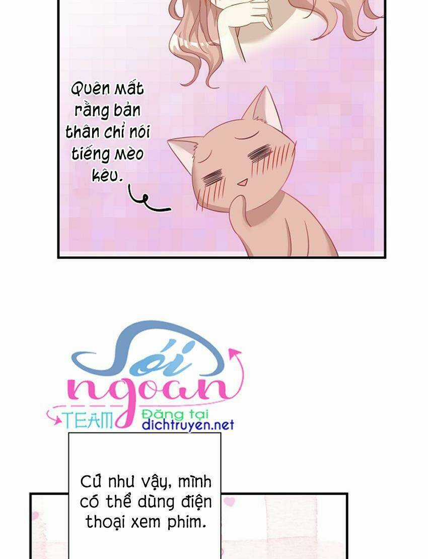 Cuộc Sống Kỳ Thú - Chapter 17 - Trang 25