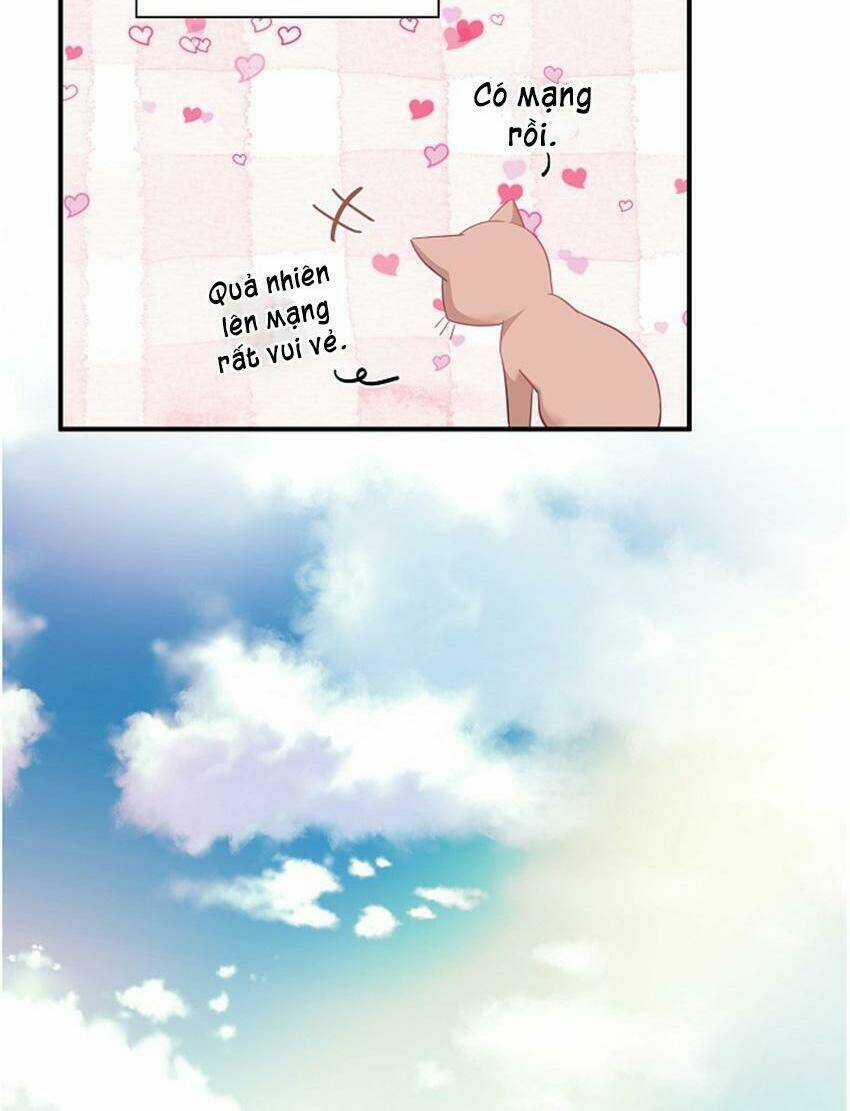 Cuộc Sống Kỳ Thú - Chapter 17 - Trang 26