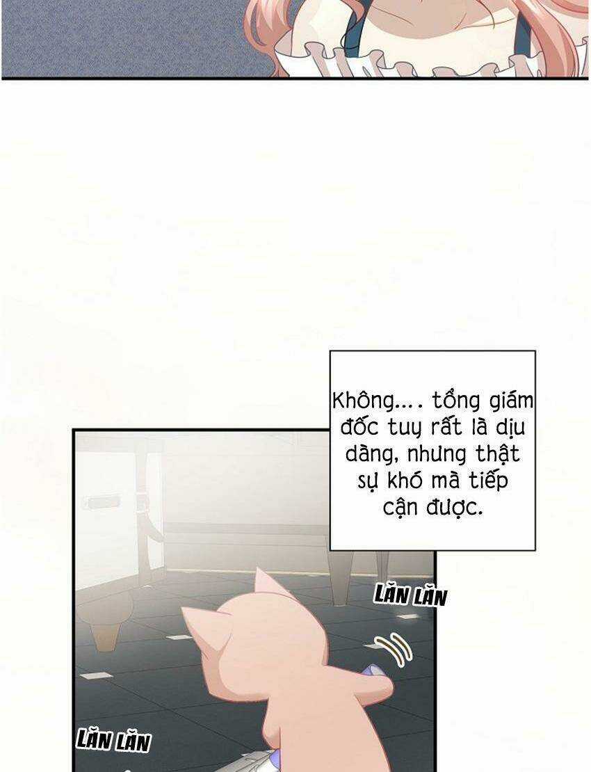 Cuộc Sống Kỳ Thú - Chapter 17 - Trang 4