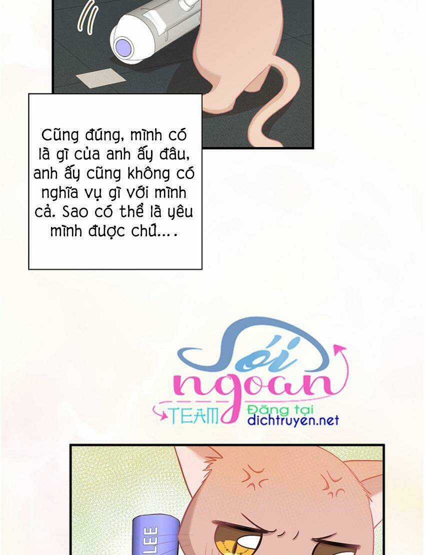 Cuộc Sống Kỳ Thú - Chapter 17 - Trang 5
