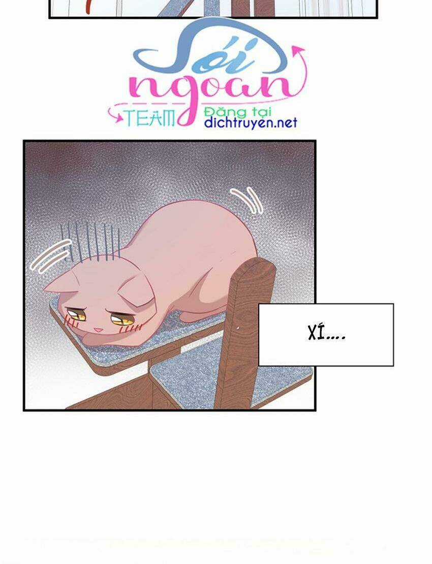 Cuộc Sống Kỳ Thú - Chapter 17 - Trang 10