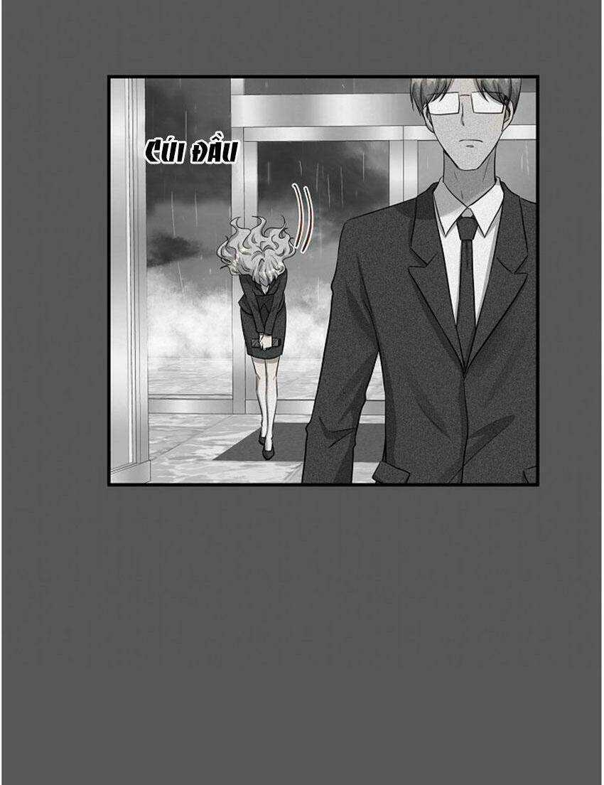 Cuộc Sống Kỳ Thú - Chapter 18 - Trang 20