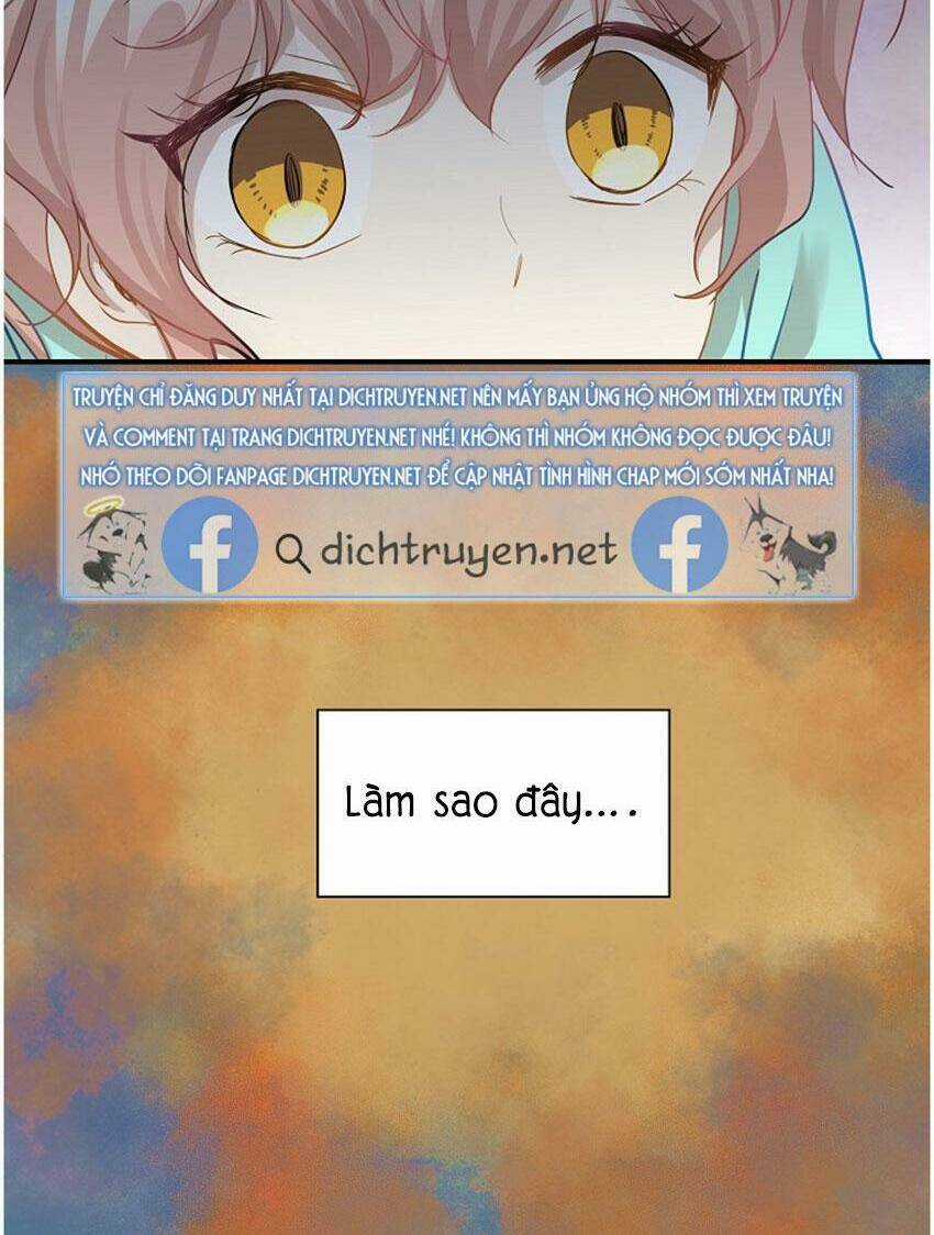 Cuộc Sống Kỳ Thú - Chapter 18 - Trang 51