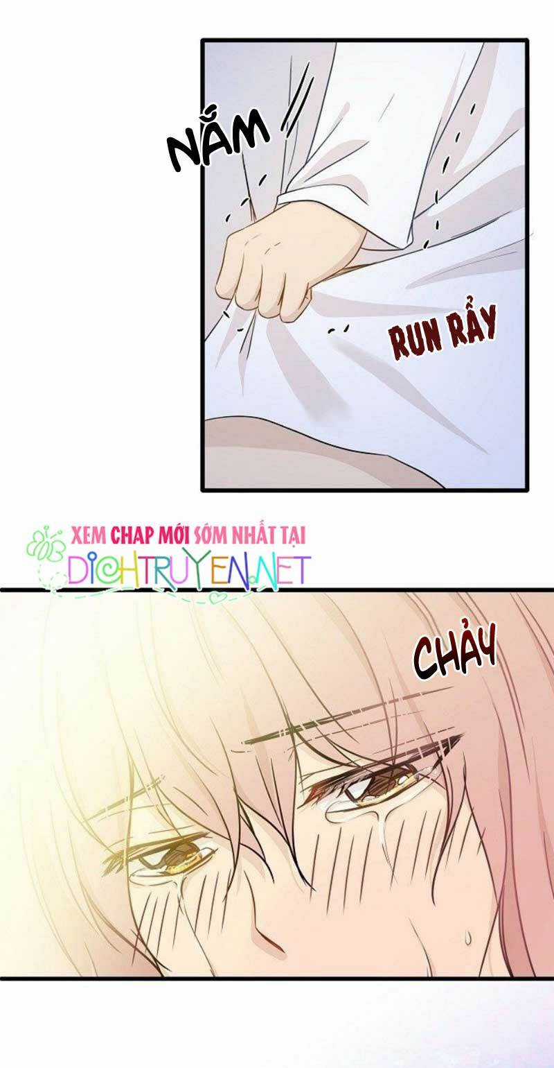 Cuộc Sống Kỳ Thú - Chapter 2 - Trang 31