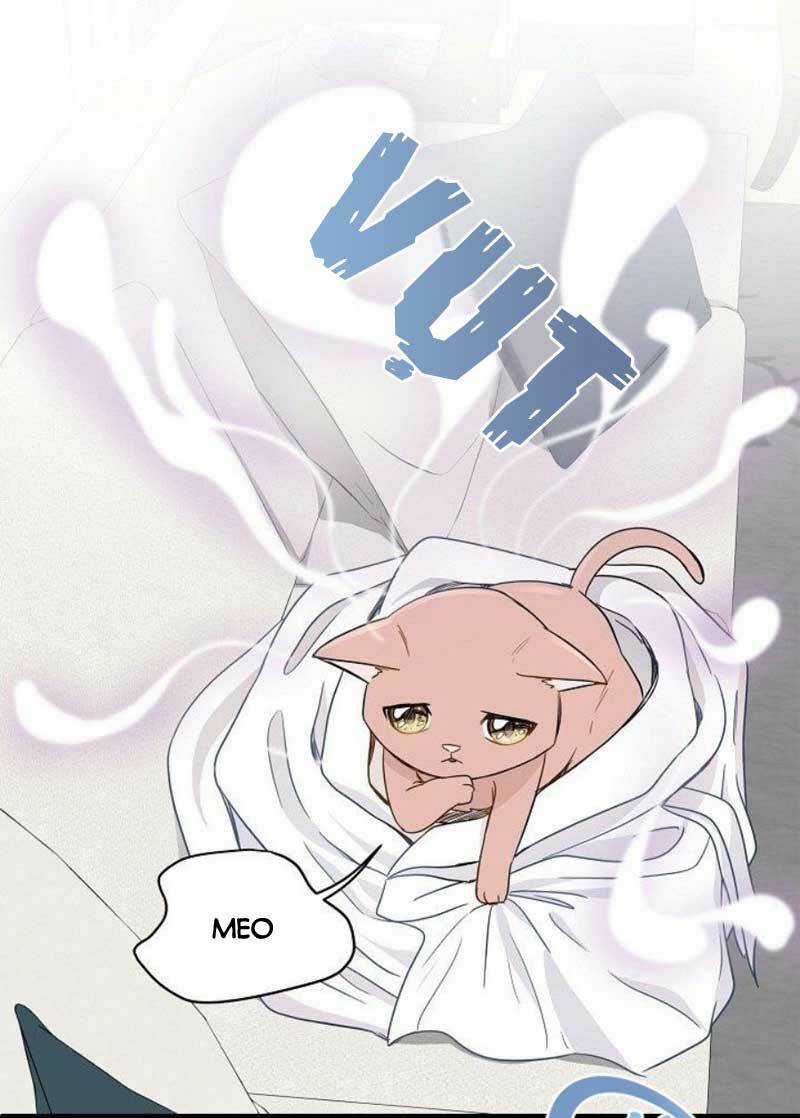 Cuộc Sống Kỳ Thú - Chapter 2 - Trang 34