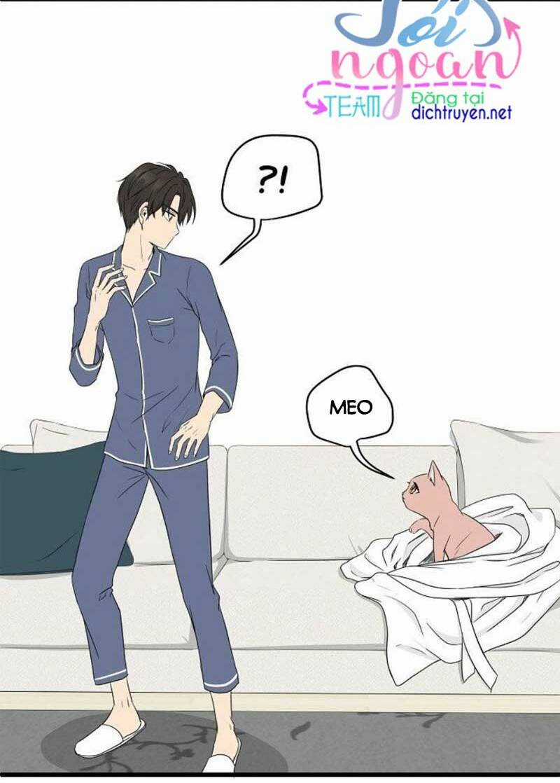 Cuộc Sống Kỳ Thú - Chapter 2 - Trang 35