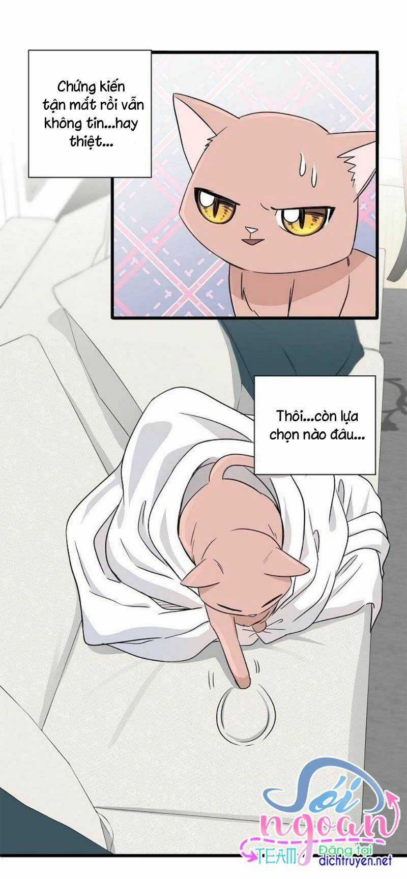 Cuộc Sống Kỳ Thú - Chapter 2 - Trang 38