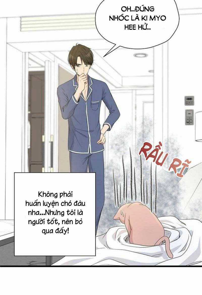 Cuộc Sống Kỳ Thú - Chapter 2 - Trang 40