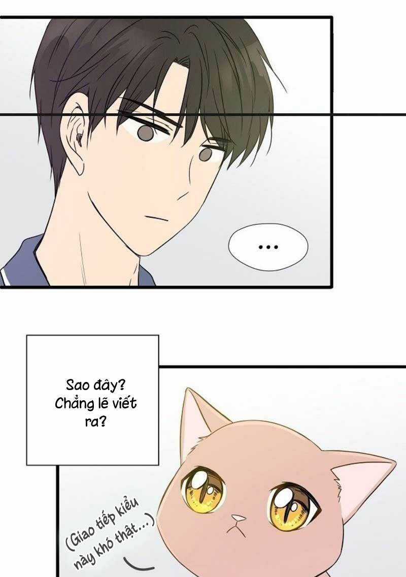 Cuộc Sống Kỳ Thú - Chapter 2 - Trang 43