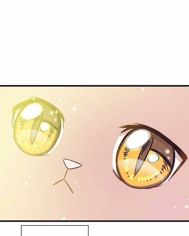 Cuộc Sống Kỳ Thú - Chapter 2 - Trang 45