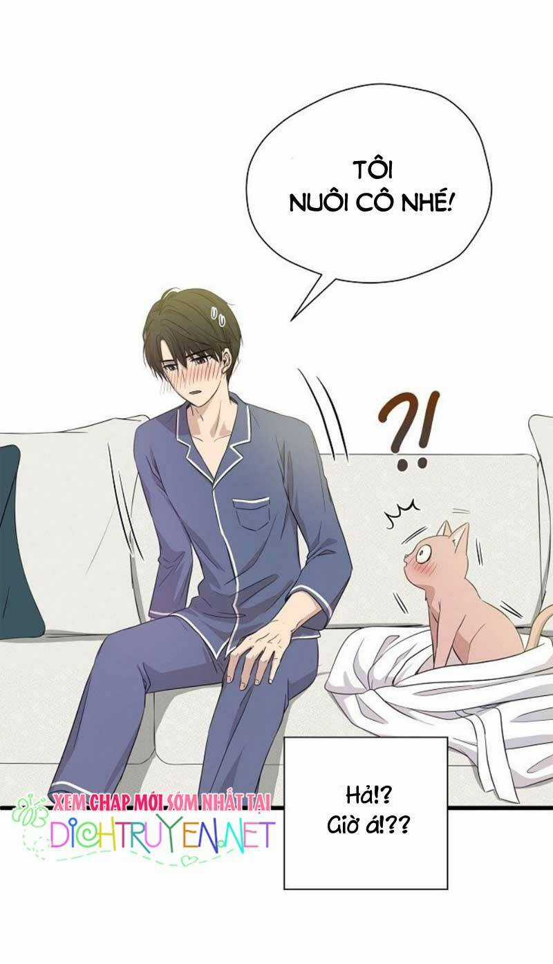 Cuộc Sống Kỳ Thú - Chapter 2 - Trang 47