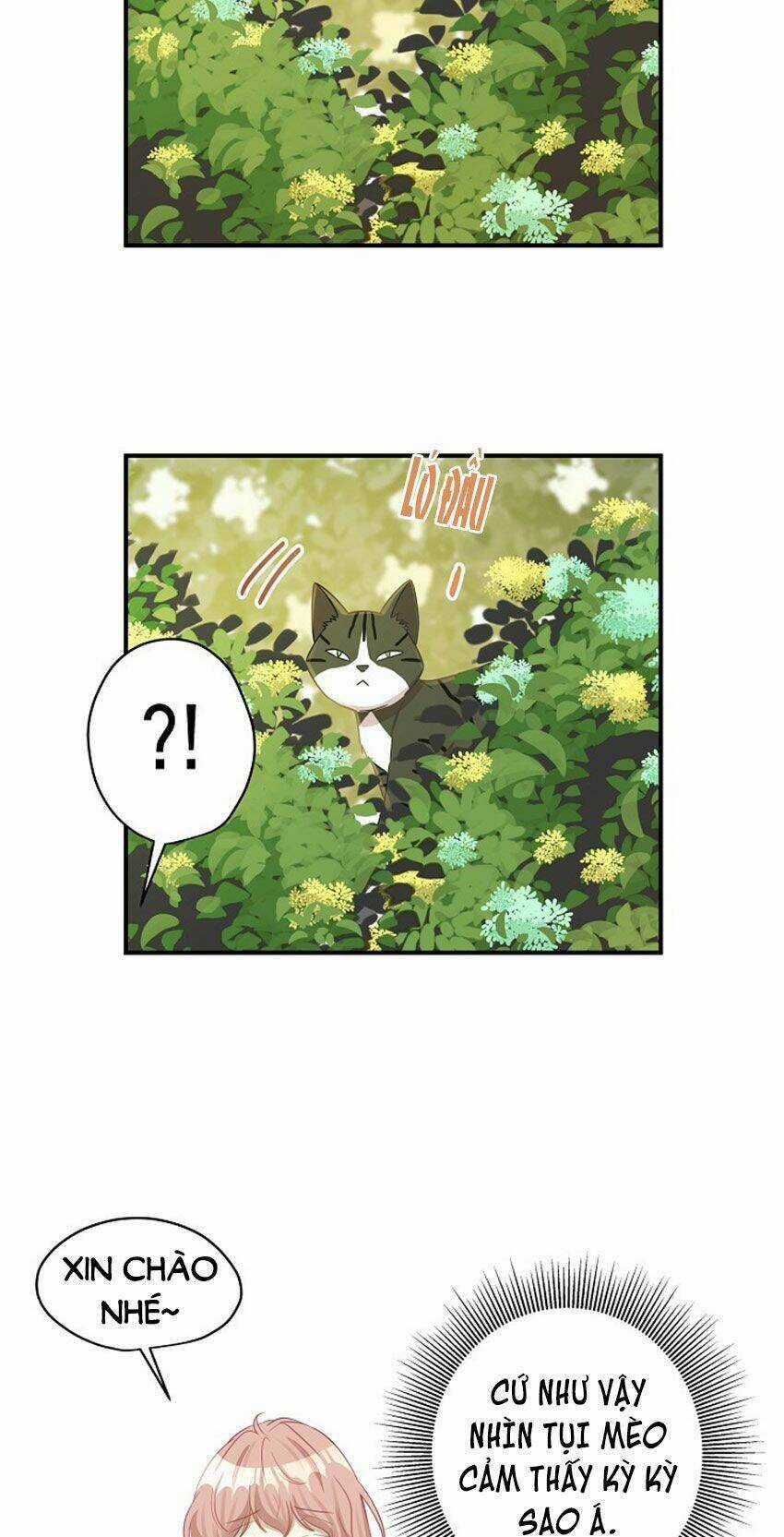 Cuộc Sống Kỳ Thú - Chapter 20 - Trang 25