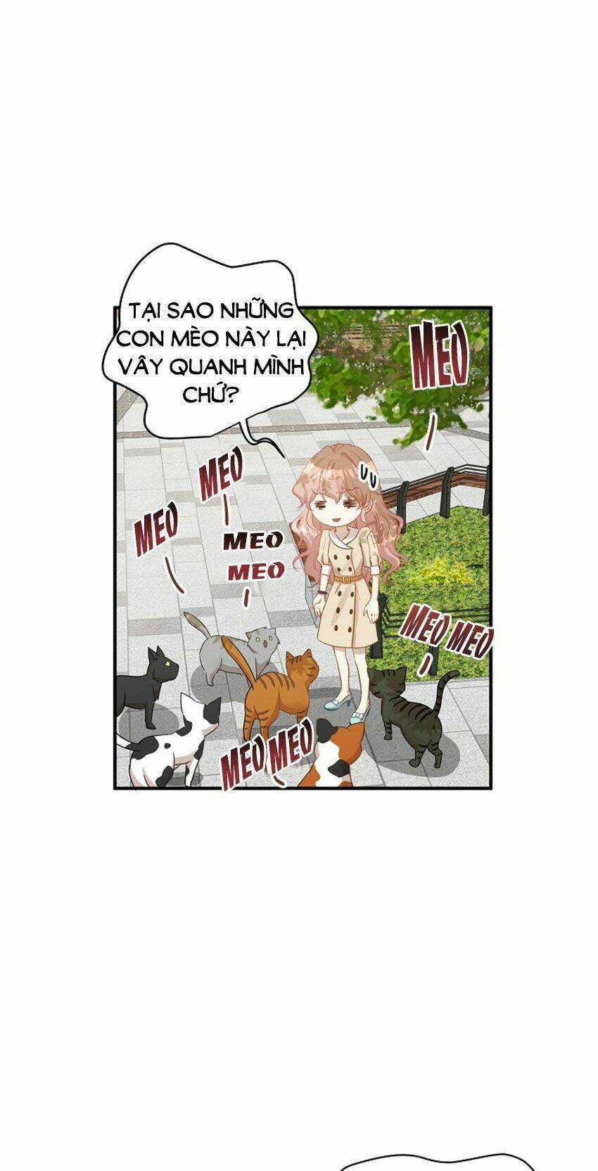 Cuộc Sống Kỳ Thú - Chapter 20 - Trang 28