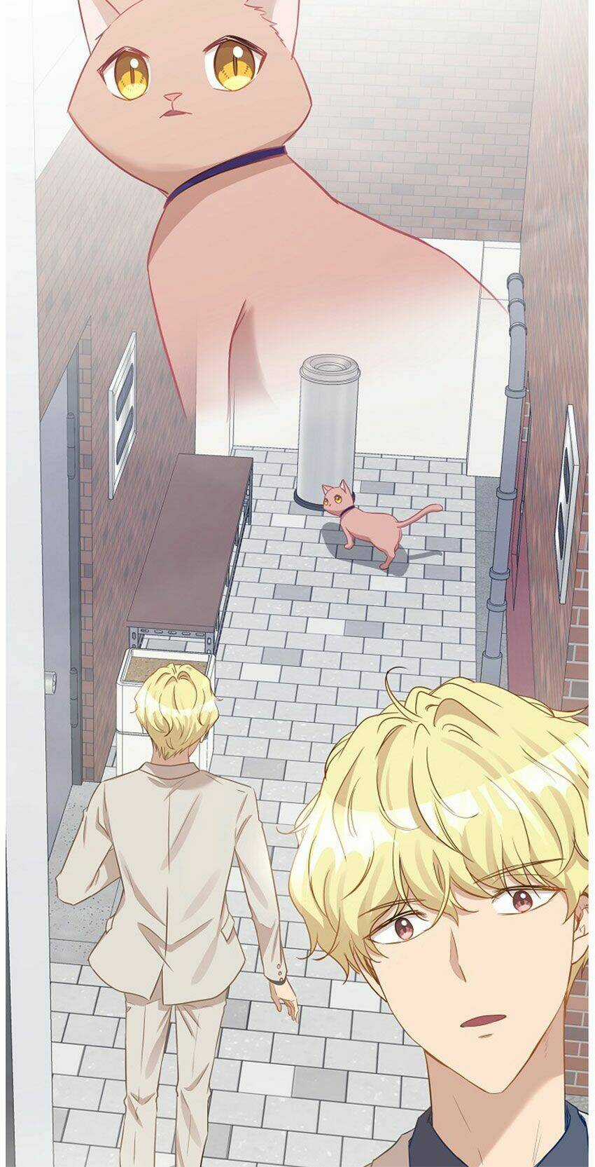 Cuộc Sống Kỳ Thú - Chapter 20 - Trang 41