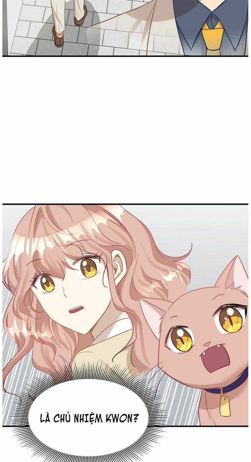 Cuộc Sống Kỳ Thú - Chapter 20 - Trang 42