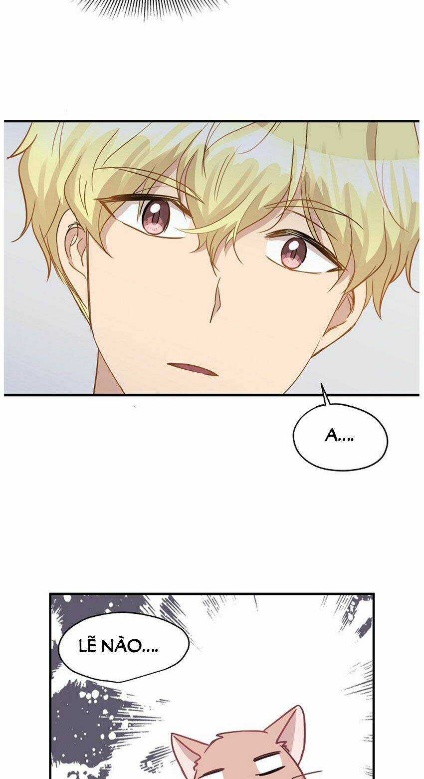 Cuộc Sống Kỳ Thú - Chapter 20 - Trang 43