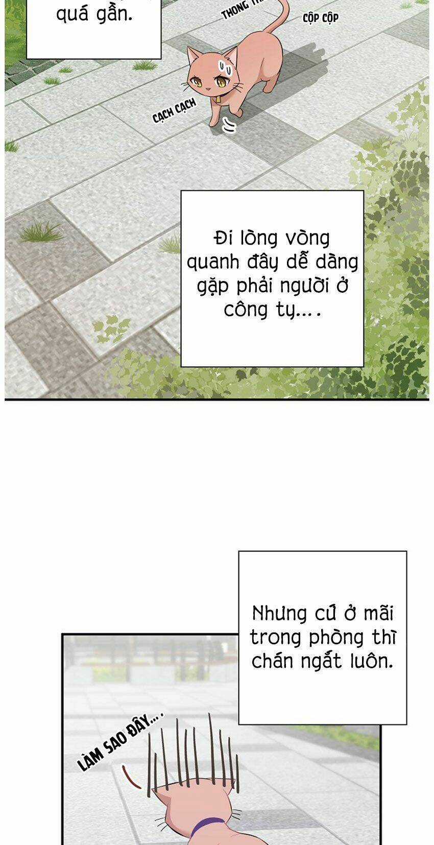 Cuộc Sống Kỳ Thú - Chapter 21 - Trang 11