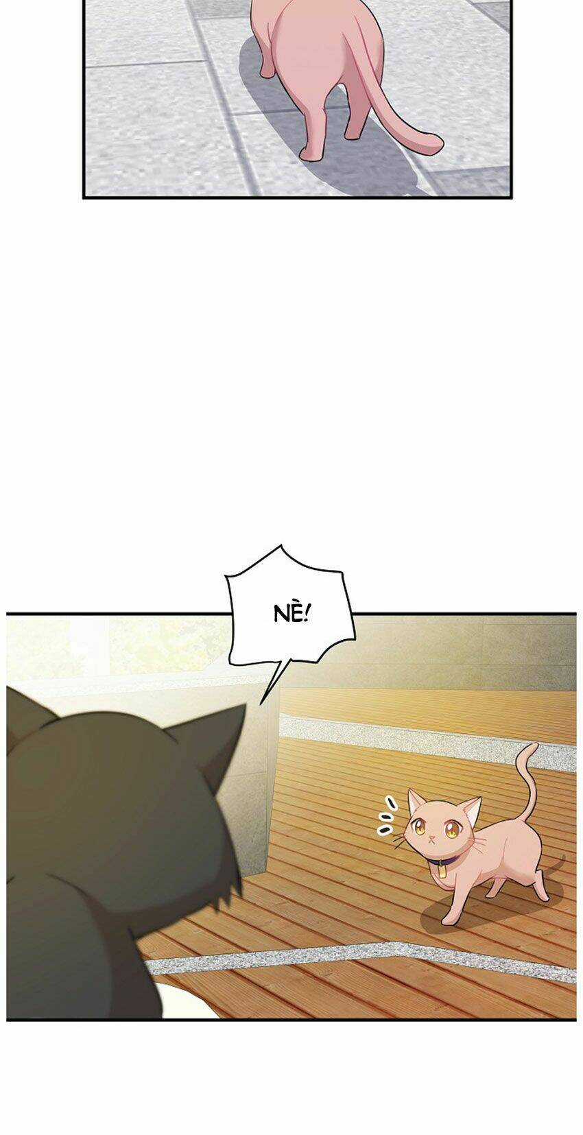 Cuộc Sống Kỳ Thú - Chapter 21 - Trang 12