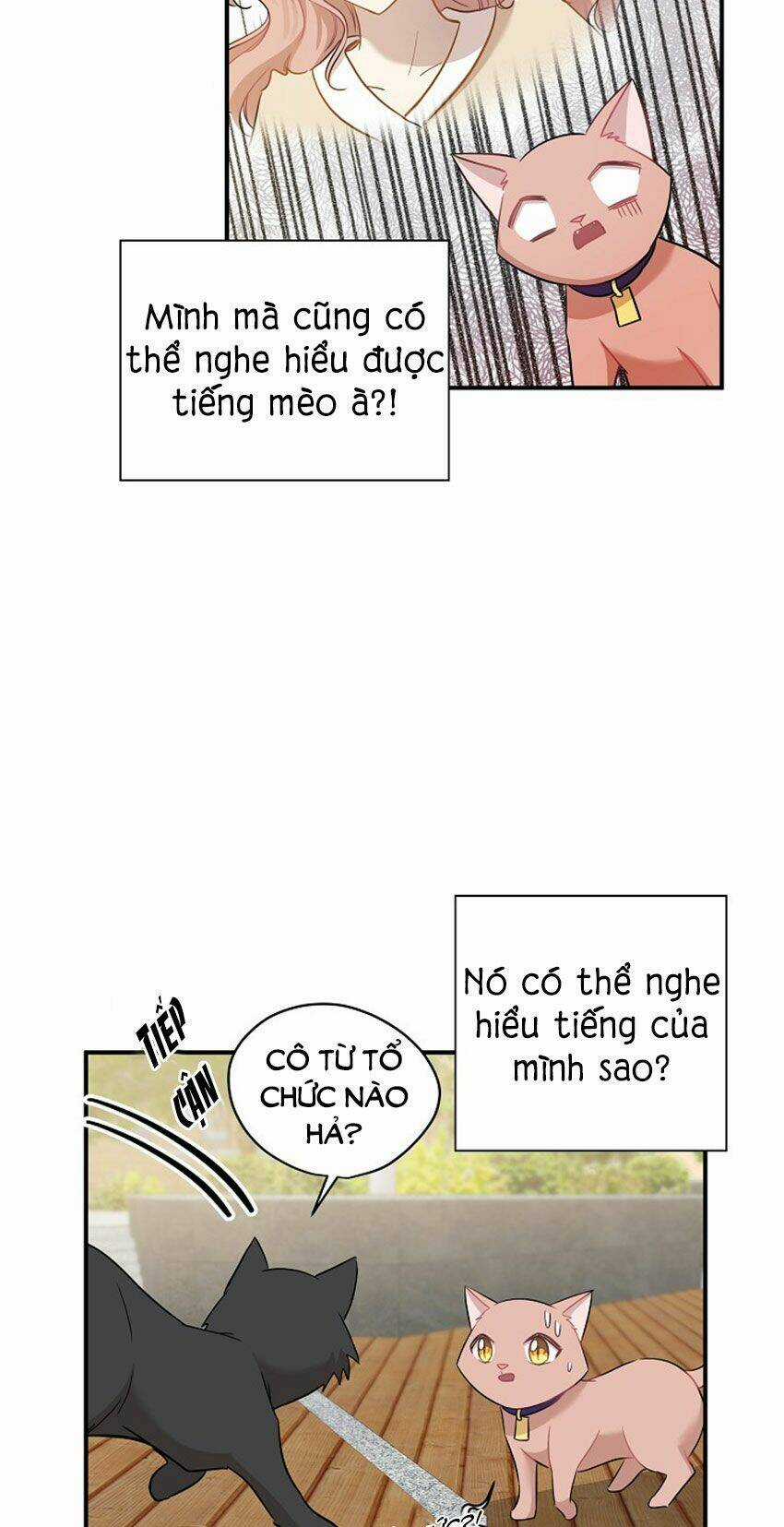 Cuộc Sống Kỳ Thú - Chapter 21 - Trang 14