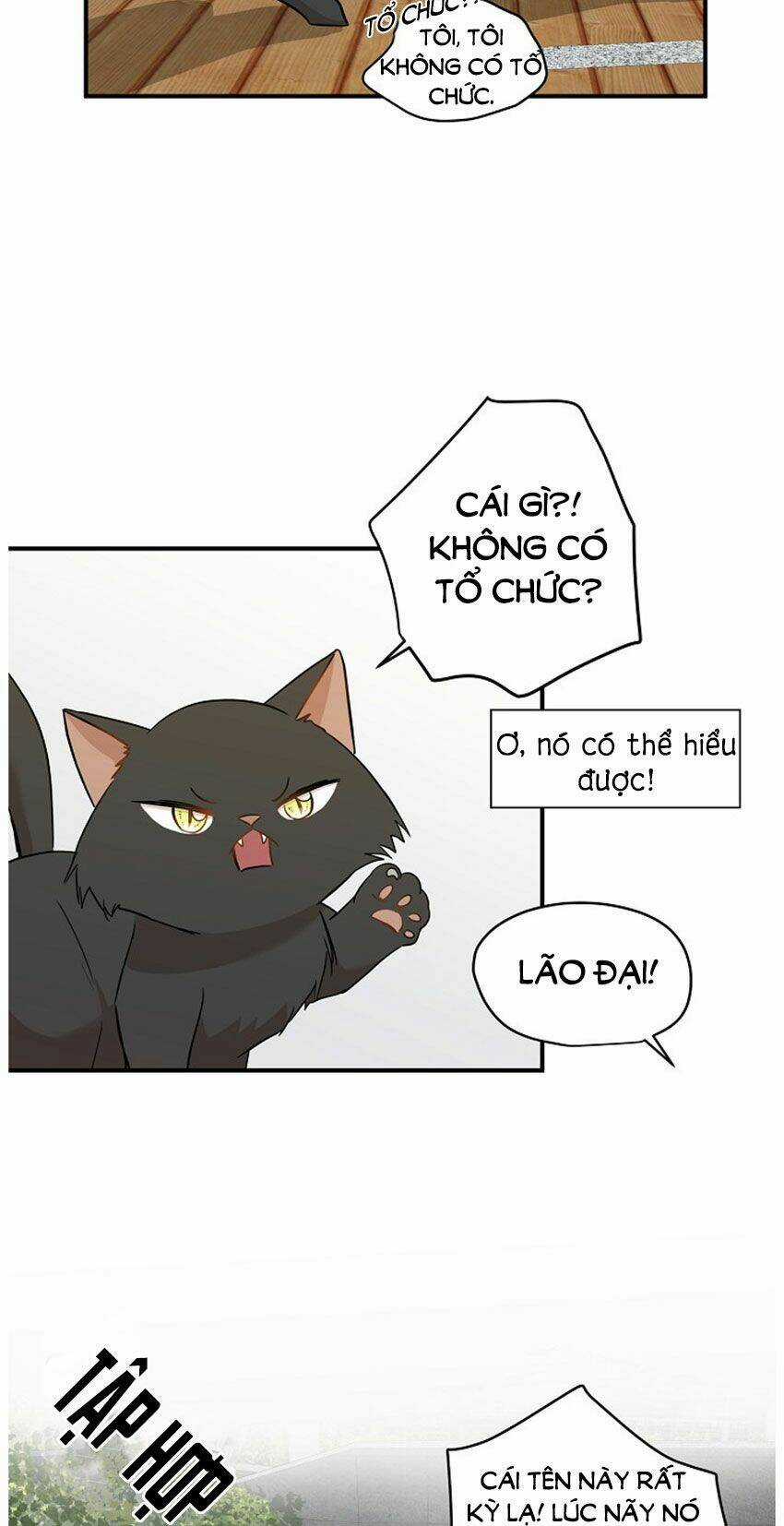 Cuộc Sống Kỳ Thú - Chapter 21 - Trang 15