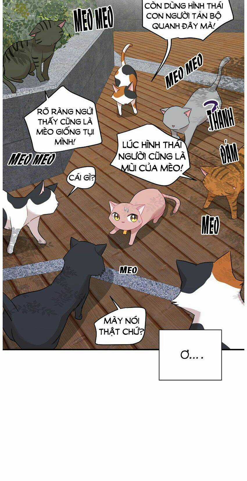 Cuộc Sống Kỳ Thú - Chapter 21 - Trang 16