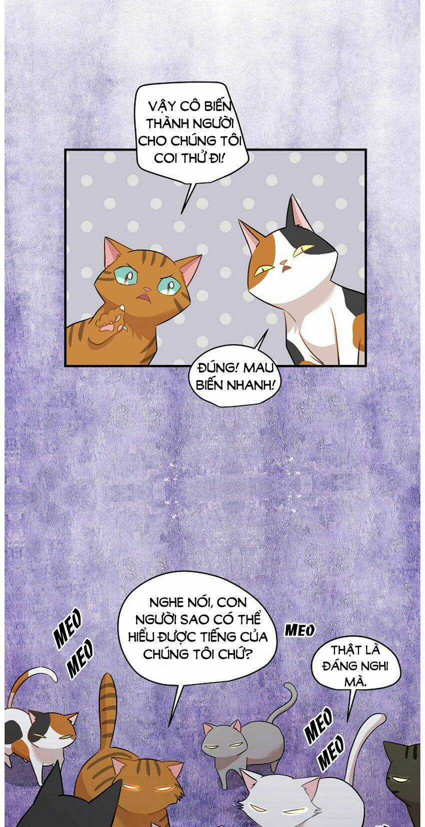 Cuộc Sống Kỳ Thú - Chapter 21 - Trang 18