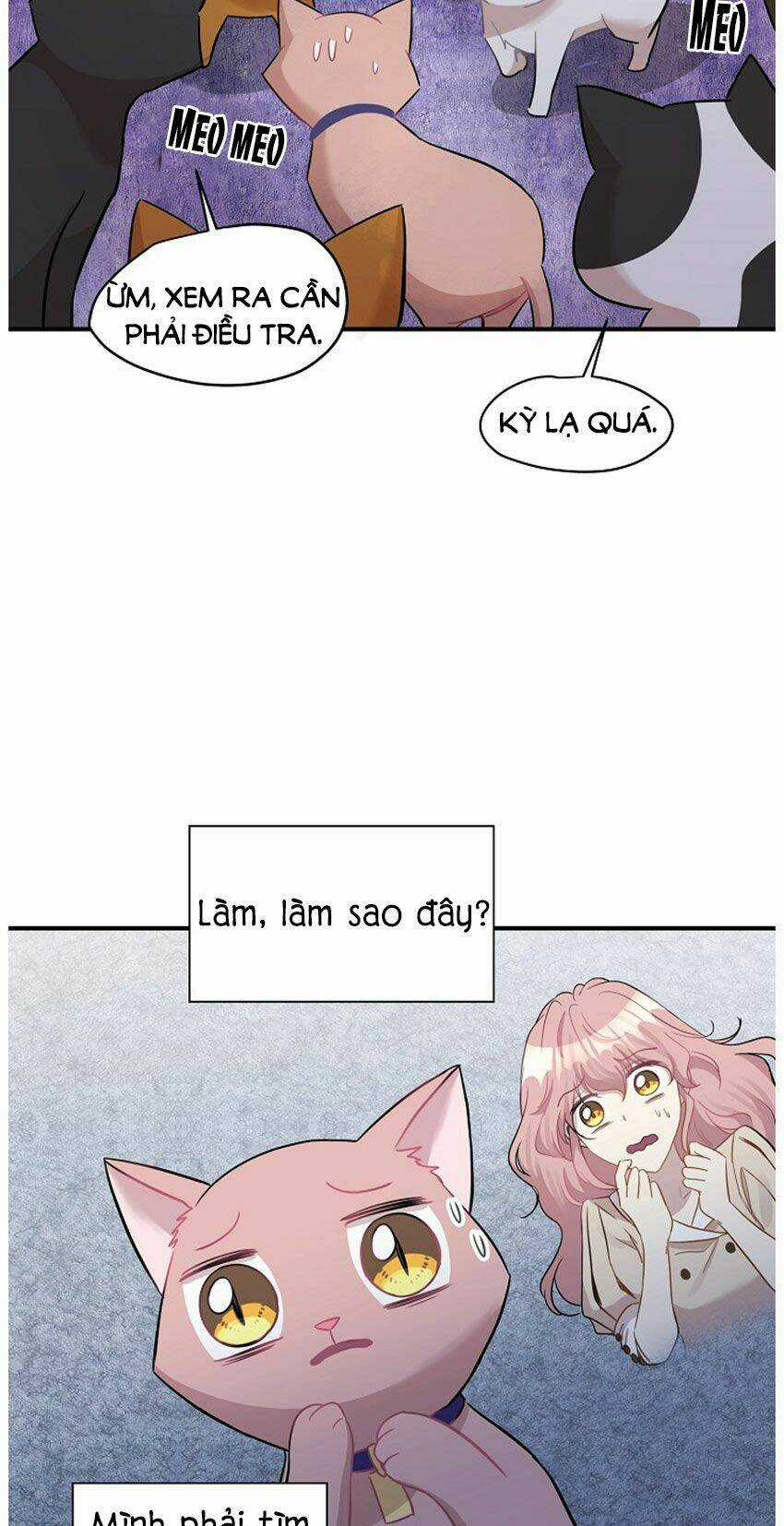 Cuộc Sống Kỳ Thú - Chapter 21 - Trang 19