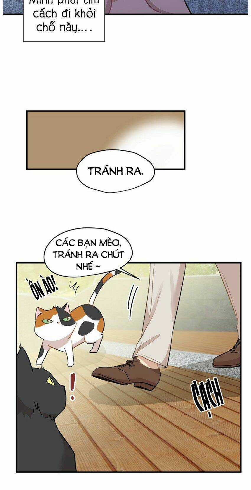 Cuộc Sống Kỳ Thú - Chapter 21 - Trang 20