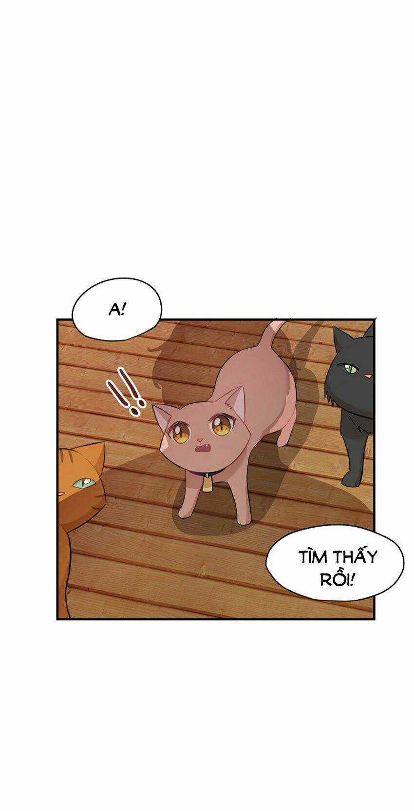 Cuộc Sống Kỳ Thú - Chapter 21 - Trang 21