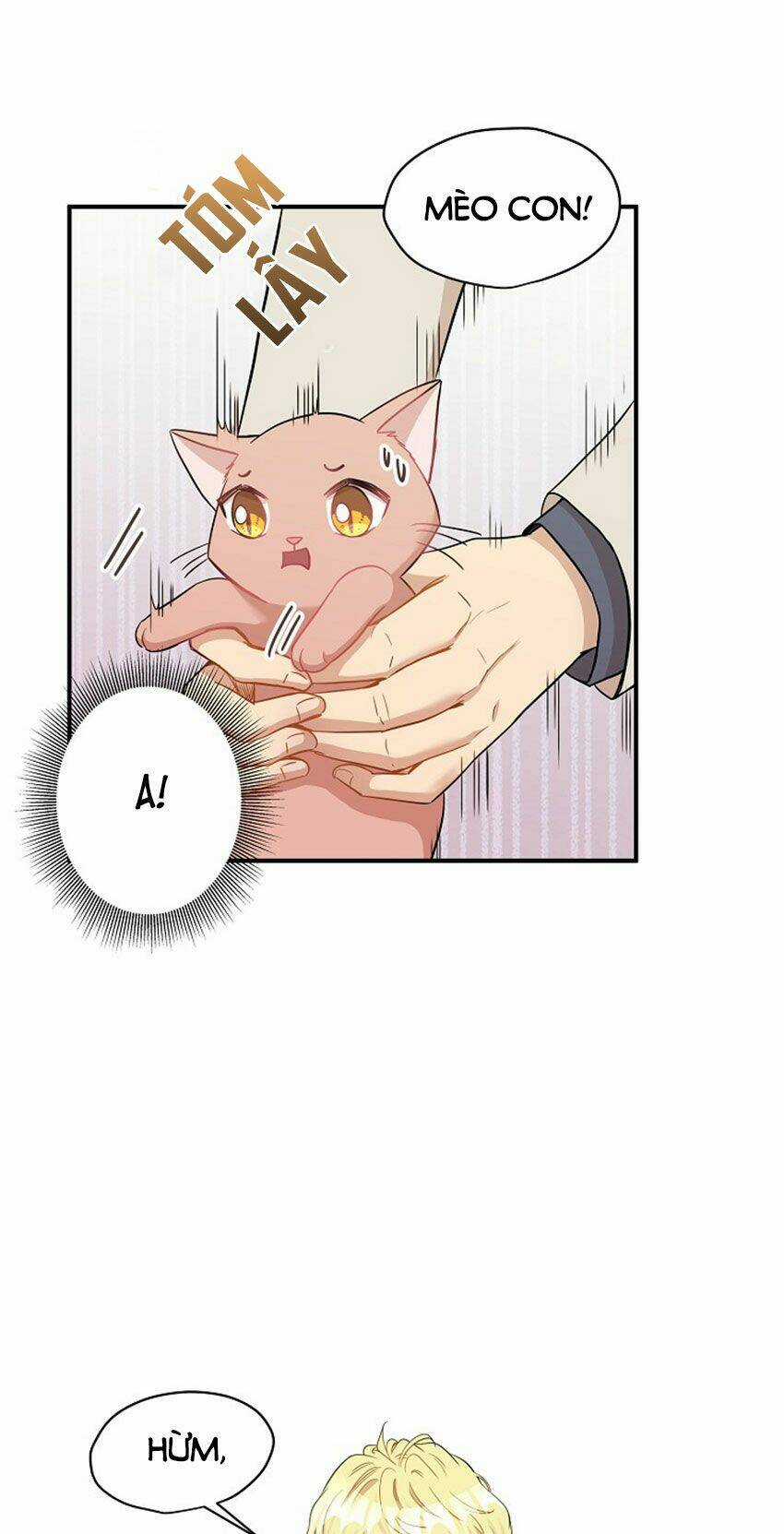 Cuộc Sống Kỳ Thú - Chapter 21 - Trang 22