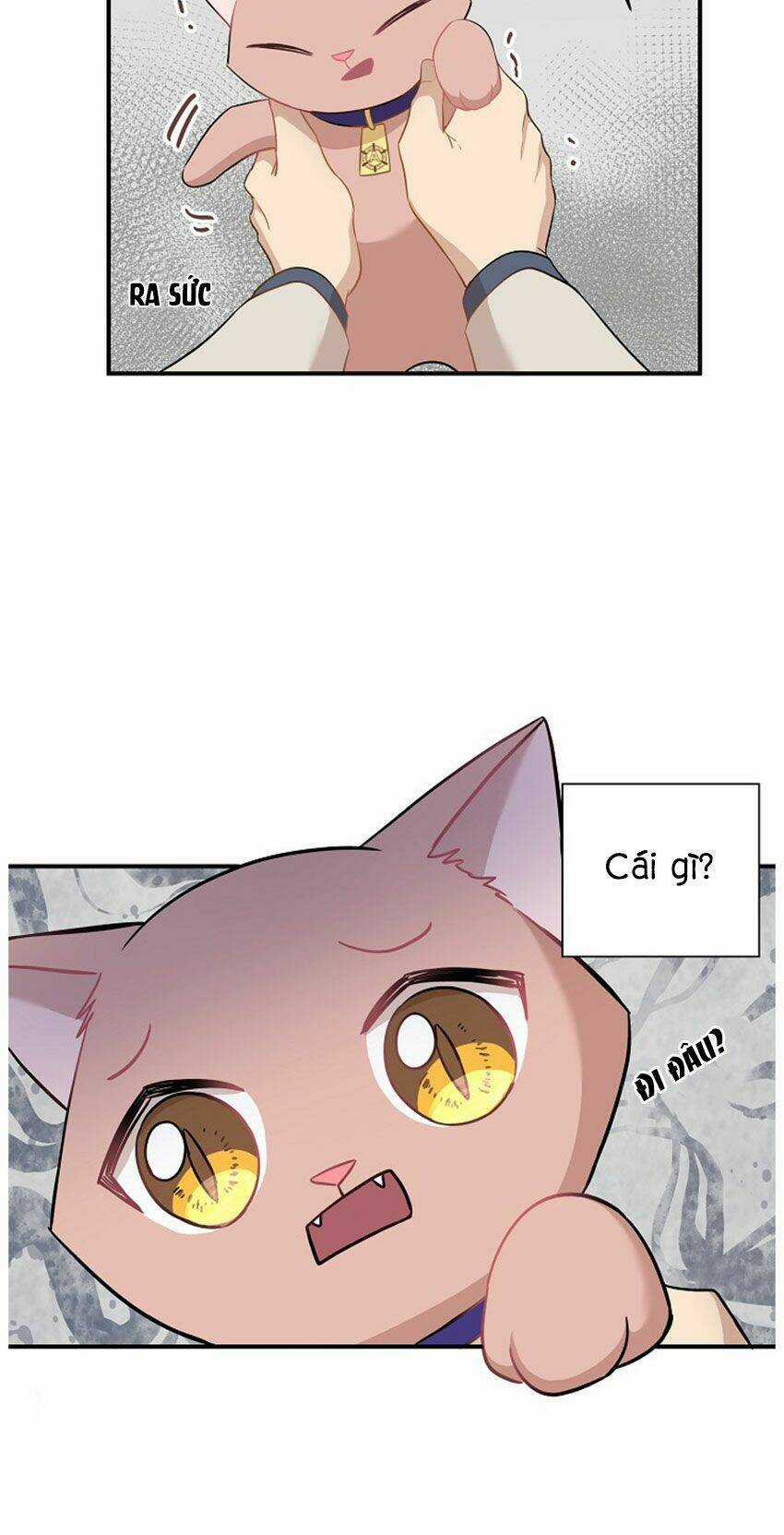 Cuộc Sống Kỳ Thú - Chapter 21 - Trang 24